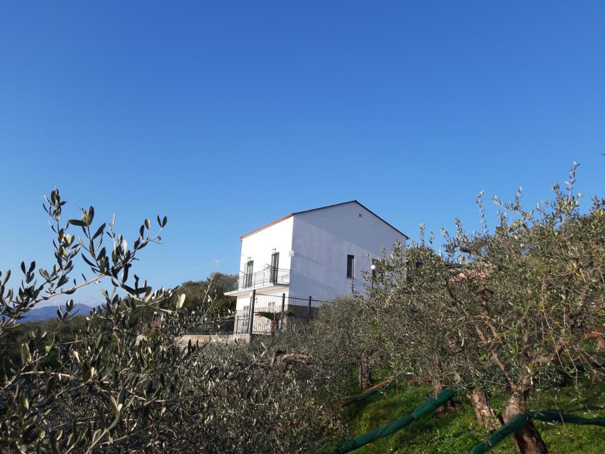 Sarina House Ocean View Vila Lavagna Exterior foto